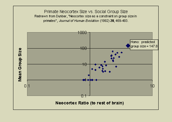 brain_size_02